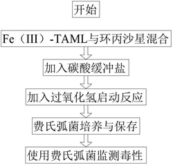 高效降解環丙沙星的催化氧化方法及其產物毒性評估方法