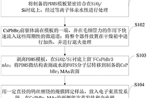 微米線陣列高性能鈣鈦礦型光電探測器、制備方法及應用