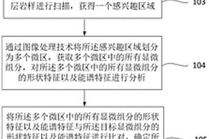 儲層顯微組分的定量方法