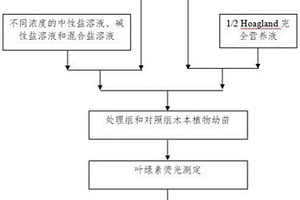 富硒營養活力素及其制備方法、應用