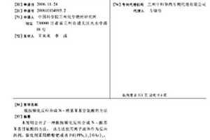 酰胺羰化反應合成N-?；交拾彼岬姆椒?>						
					</div></a>
					<div class=