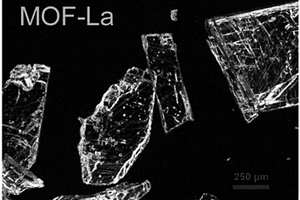熒光納米探針及其制備方法和其在生物傳感中的應用