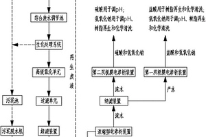 高濃度難降解含鹽有機廢水的資源化回收利用處理系統