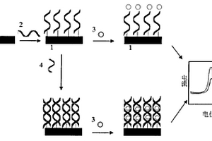 用于檢測慢性粒細胞白血病BCR/ABL融合基因的電化學DNA生物傳感器
