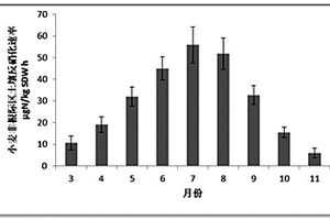 測定非根際區土壤反硝化的方法