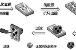 具有過濾功能SERS基底的制備方法及應用