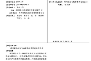 路基缺陷識別與高聚物注漿快速加固技術