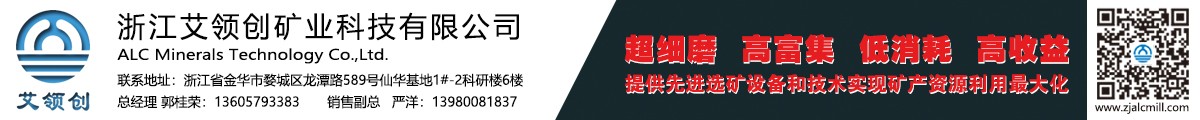 浙江艾領創礦業科技有限公司