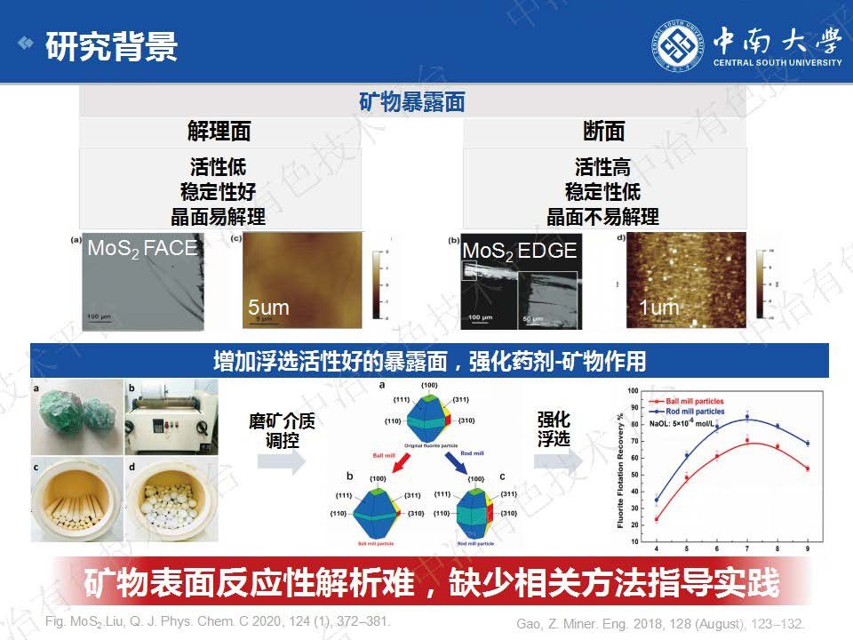 礦物表面反應性解析的新進展