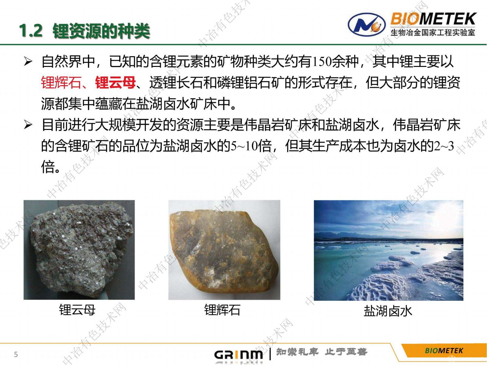 鋰云母提鋰及綜合利用的研究現狀與展望