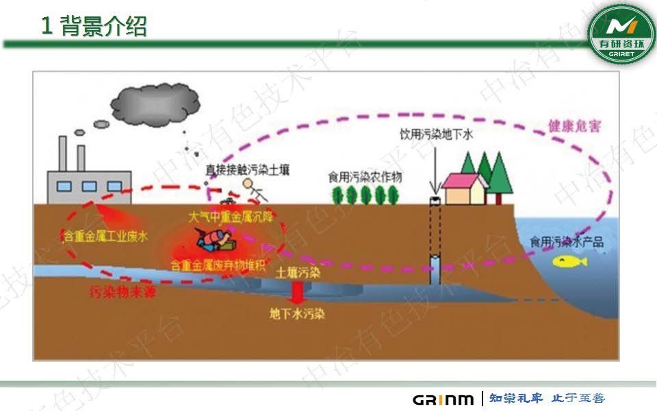 微生物法重金屬固化穩定化及生態修復技術