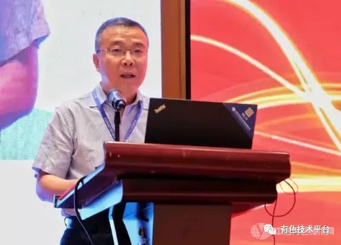 中國有色金屬學會副秘書長 張龍