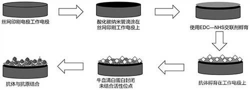 電化學生物傳感器及其制備方法與應用