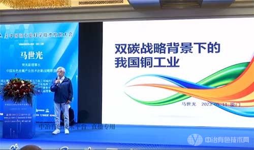 雙碳戰略背景下的我國銅工業——馬世光