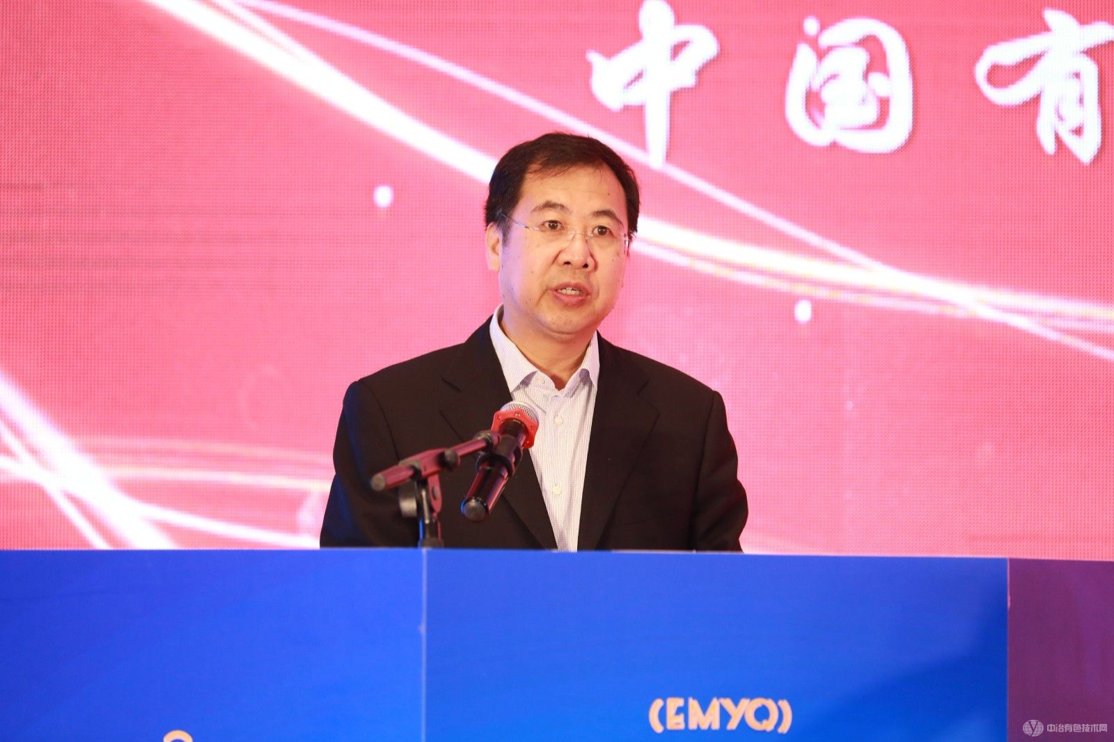 2023有色金屬綠色冶金雁棲論壇現場照片