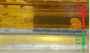 富氧雙側吹熔煉銅過程的物理模擬研究