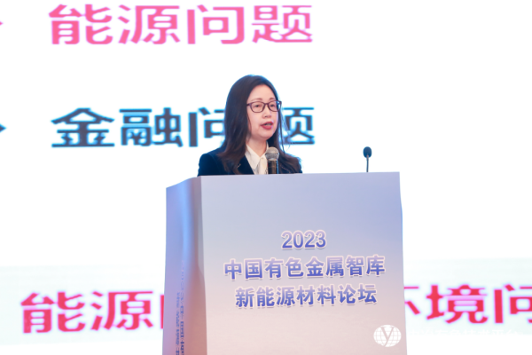 昆明理工大學 二級教授 張英杰