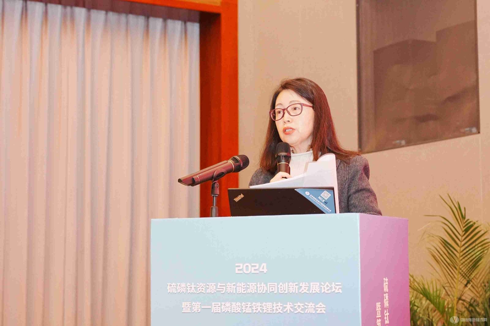 2024硫磷鈦資源與新能源協同創新發展論壇暨第一屆磷酸錳鐵鋰技術交流會現場照片