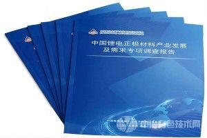 [產業發展]《鋰電正極材料報告》已正式推出，歡迎訂閱！