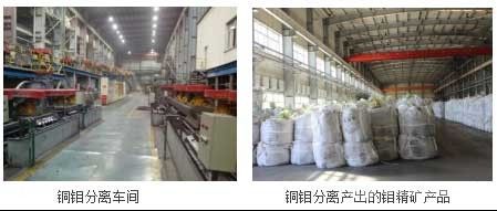 復雜低品位銅鉬礦石銅鉬分離關鍵技術及產業化