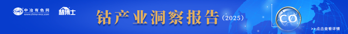 鈷產業洞察報告