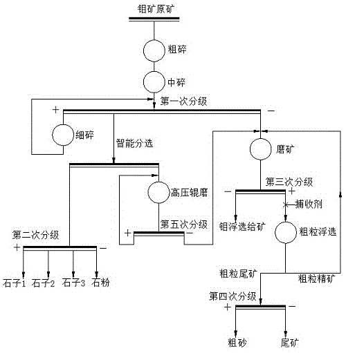 低品位鉬礦選前拋尾方法