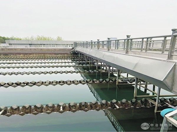 非金屬鏈條刮泥機