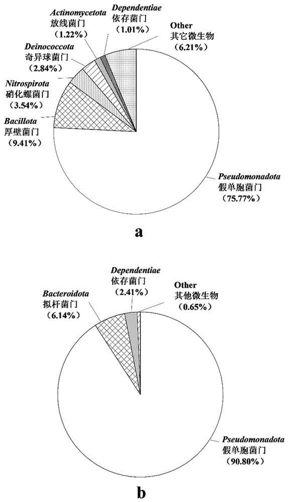 用于處理對含砷和丁基黃藥復合污染廢水的活性污泥及其制備方法