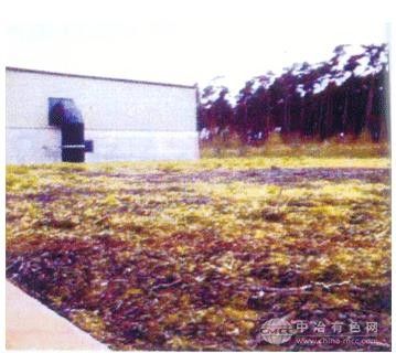 生物過濾除臭系統