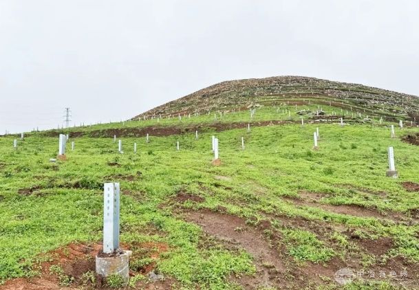踐行“雙碳”戰略：城紅寨光伏發電項目總承包工程清表及樁基施工節點目標達成