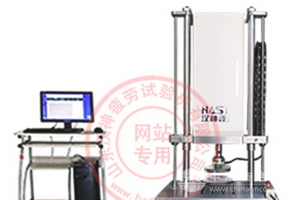 電子伺服拉壓疲勞試驗機